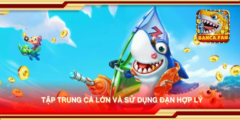 Tập trung cá lớn và sử dụng đạn hợp lý