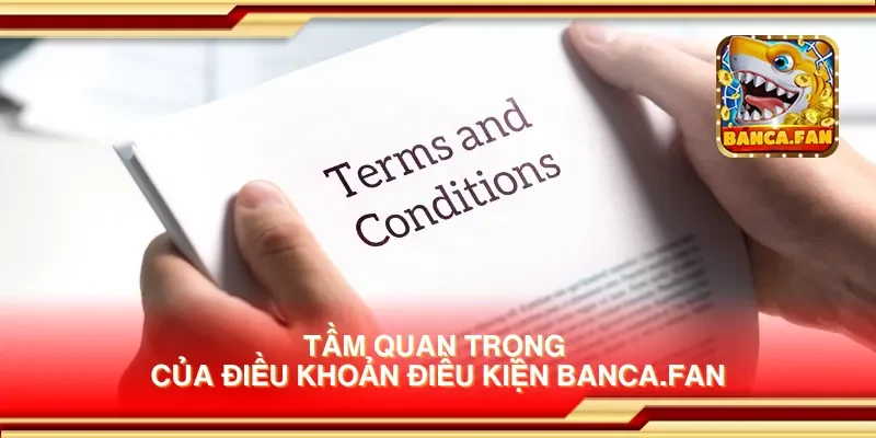 Tầm quan trọng của điều khoản điều kiện thirdmonkey.tv